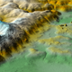 Lidar image of El Zotz, the closest city to Tikal.